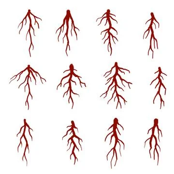 Set of Brown Tree Roots. Stock Illustration