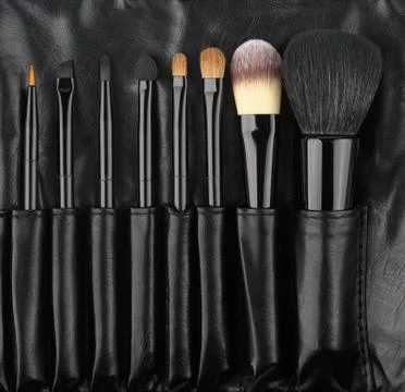 Set Brushes of Make-Up in a holder from leather Stock Photos