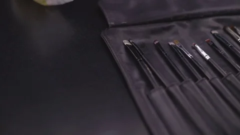 A set of brushes of a professional make-up artist in a case. Brushes are on the Stock Footage 82409894