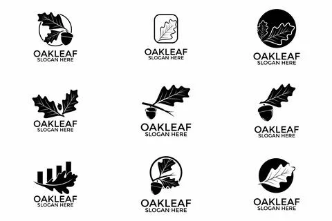 Set Bundle of Oak leaf logo design illustration vector template, Green Oak .. Stock Illustration