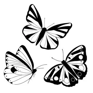 Set of butterflies isolated on white vector illustration Stock Illustration