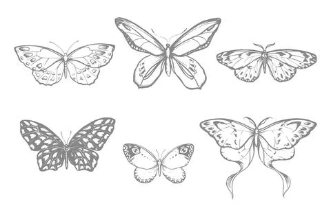 Set with butterflies, vector stylized illustrations, line drawing Stock Illustration
