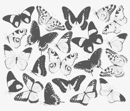 Set of butterfly silhouettes Stock Illustration