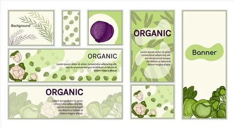 Set Cabbage banners vector. backgrounds Horizontal, vertical, square theme .. Stock Illustration