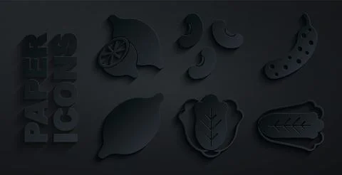 Set Cabbage, Fresh cucumber, Lemon, Beans and icon. Vector Stock Illustration