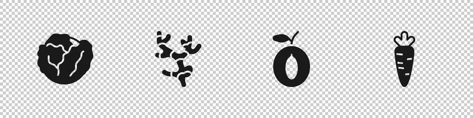Set Cabbage, Ginger root, Plum fruit and Carrot icon. Vector Иллюстрация