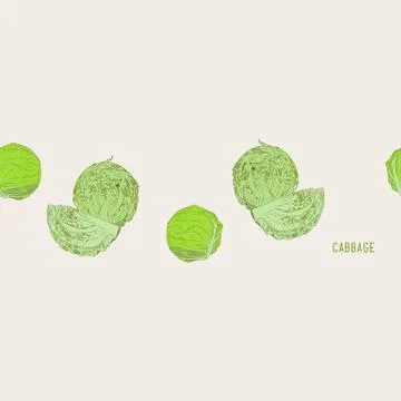 Set of cabbage, hand drawn sketch line art vector. Stock Illustration