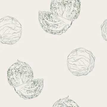 Set of cabbage, hand drawn sketch line art vector. Stock Illustration