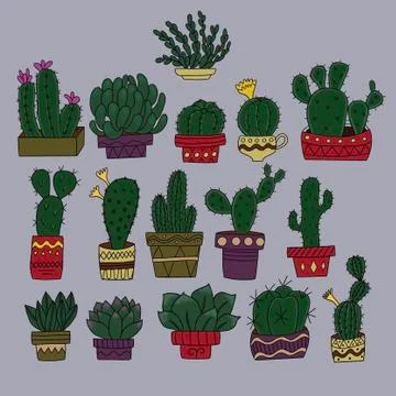 Set of cacti in pots on a gray background Illustrazione stock