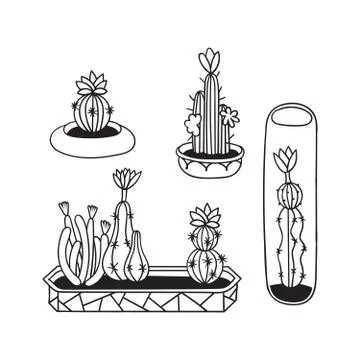 Set of cactuses for coloring books. Stock Illustration