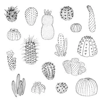 Set of cactuses, hand drawn vector illustration. outline sketch . Succulent Stock Illustration