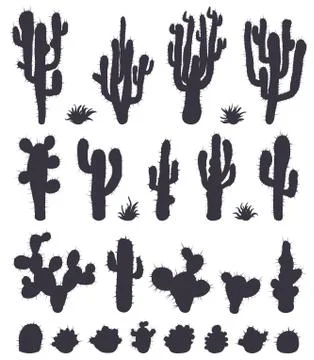 Set of cactuses isolated on white Stock Illustration