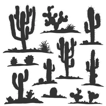 Set of cactuses isolated on white vector illustartion Stock Illustration