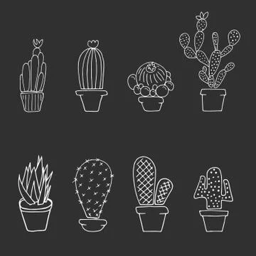Set cactuses in the pots Stock Illustration