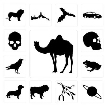 Set of camel outline on white background, saturn mistletoe bulldog dachshund  Free Stock Illustration