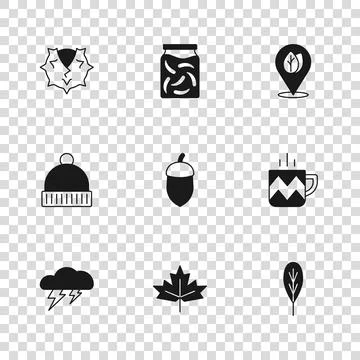 Set Canadian maple leaf, Cup of tea, Leaf, Acorn, Location with, Chestnut, .. Stock Illustration