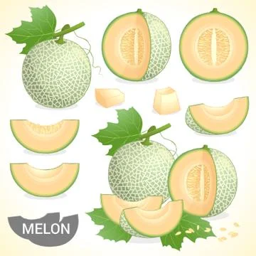 Set of cantaloupe melon fruit in various styles vector format Stock Illustration