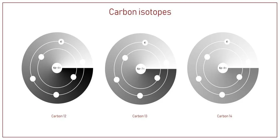 A set of carbon isotopes atomic structure in an elementary particles physics  Stock Illustration