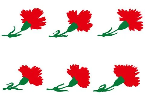 Set of carnations flowers Stock Illustration