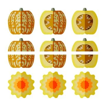 Set of Carnival winter squash. Flat style Stock Illustration