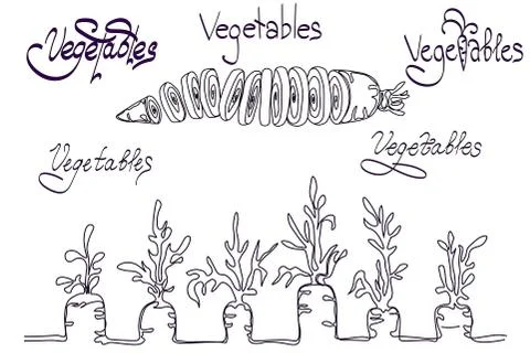 Set with carrot and text. There are 5 variants of text Stock Illustration