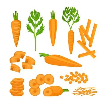 Set of carrot kit collection with carrot Root Vegetable, Top Leaves Whole a.. Stock Illustration