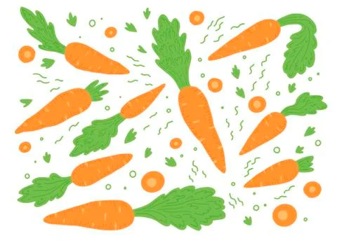 Set of carrot vector illustration isolated. Stock Illustration
