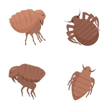 Set of cartoon bed bugs illustrations Stock Illustration