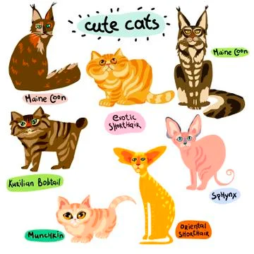 Set of cartoon cats characters Stock Illustration