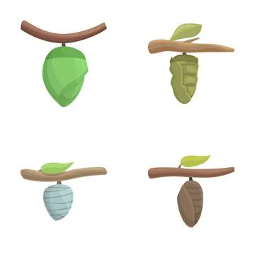 Set of cartoon cocoon transformations Stock Illustration