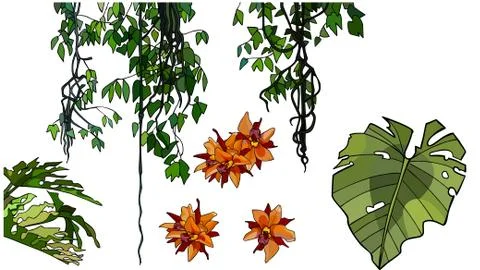 Set of cartoon elements of branches with leaves and flowers of tropical plant Stock Illustration