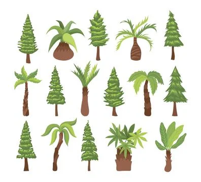 Set of Cartoon Palm Tree Collection, Jungle palm trees with green leaves, b.. Stock Illustration