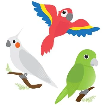 Set of cartoon parrots Illustrazione stock