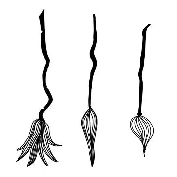 Set of cartoon witch brooms. Magic broom. Halloween. Cartoon doodle style. Stock Illustration