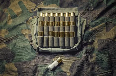 Set of cartridges for a shotgun. One cartridge is higher than the rest in t.. Stock Photos