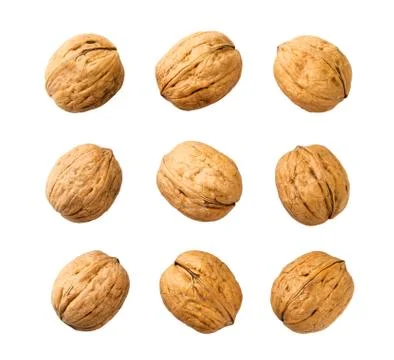 Set of carved walnut on a white background. Stock Photos