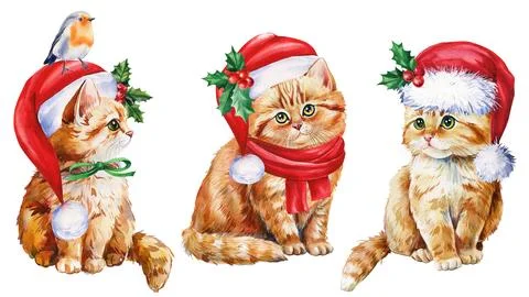 Set of cat. Cute kitten in red Santa hat on isolated white background, Christmas Stock Illustration