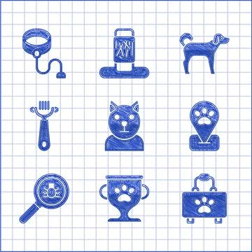 Set Cat, Pet award, first aid kit, Location pet grooming, Flea search, Hair 스톡 일러스트