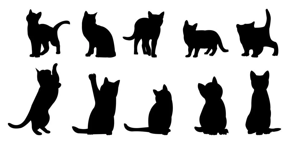 Set of cat silhouettes vector on white background Stock-Illustration