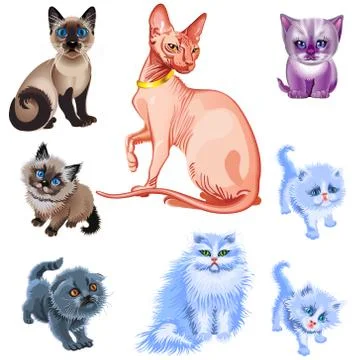 Set of cats and kittens of various breeds Stock Illustration
