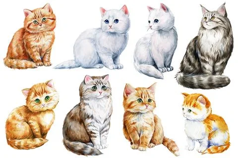 Set of cats. Cat hand drawn in watercolor, kitten isolated on white background Stock Illustration