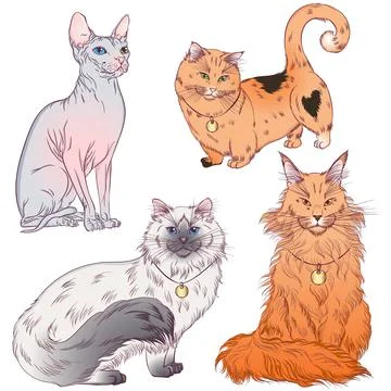 Set of cats different breeds Stock Illustration