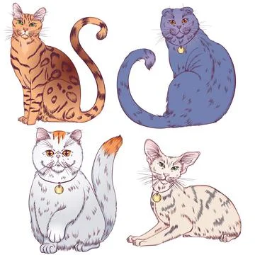 Set of cats different breeds Stock Illustration
