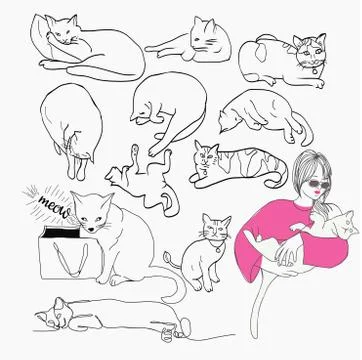 Set of Cats In Different Poses and character Stock Illustration