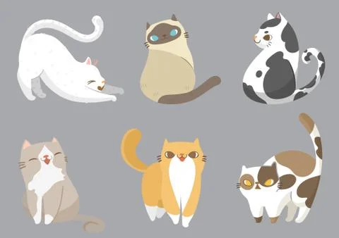 Set of cats in different poses on grey background. Vector illustration charac Stock Illustration