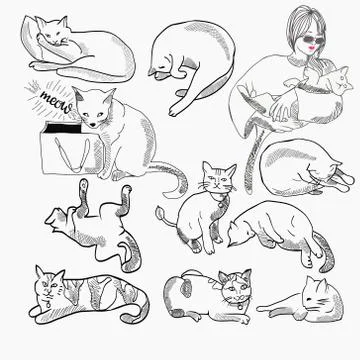Set of Cats illustration In Different Poses and character design Stock Illustration