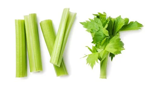Set of celery stalks on a white background. Top view Stock Photos