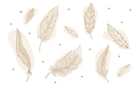 Set of celestial abstract line art feathers vector illustration Ilustración de archivo