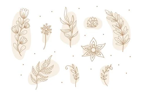 Set of celestial abstract set of flowers and plants vector illustration Stock Illustration