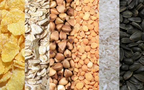 Set of cereal flakes split peas, buckwheat, grains,wheat cereal, sunflower seeds Stock Photos